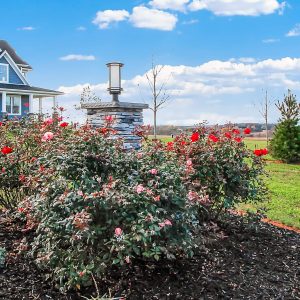 summer maintenance tips